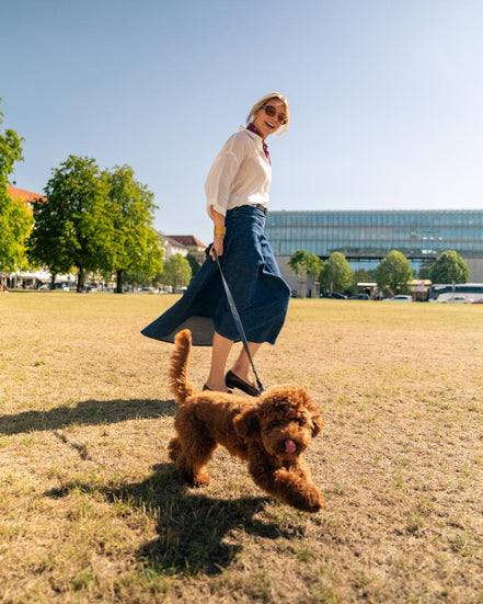 Hundehalsband "Der Hamptons"
