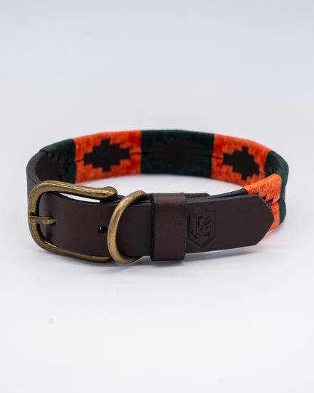 Dog Collar "The Ascot"