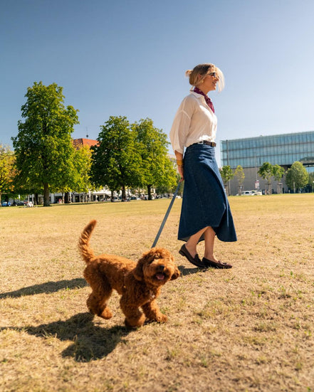 Hundehalsband "Der Hamptons"